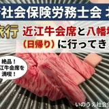 大阪社労士会北支部旅行へ！雪の近江八幡で先輩方と交流してきました【活動報告】